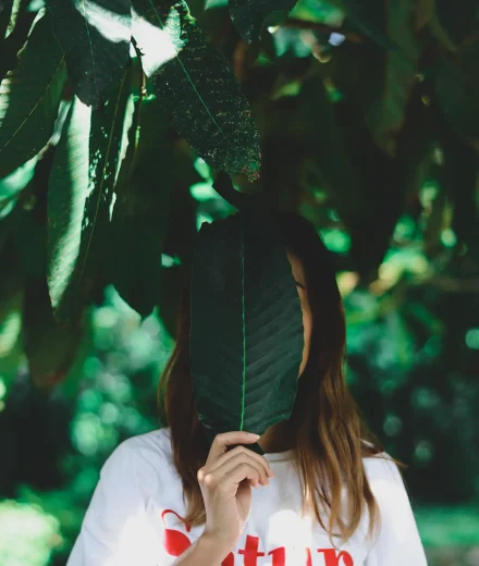 instagram image